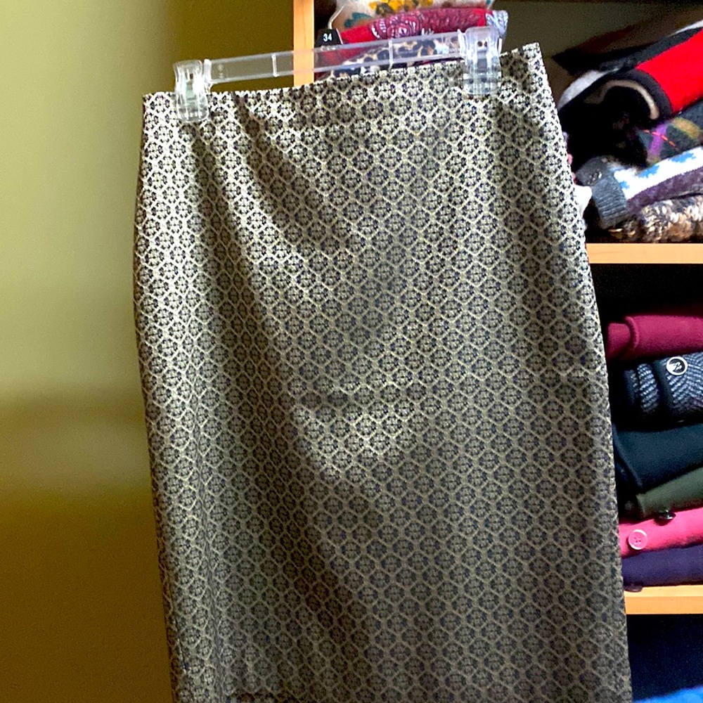 Ann Taylor skirt